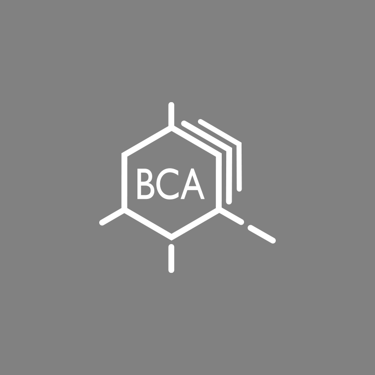 BCA PRODUCT CORPORATION